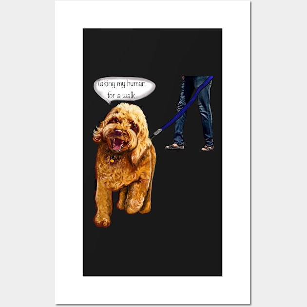 Cavapoo puppy dog - Taking my human for a walk - cavalier king charles spaniel poodle, puppy love Wall Art by Artonmytee